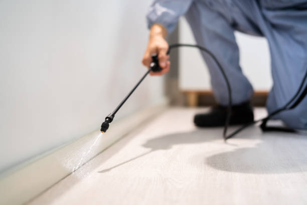 Licensed Ant Control service in Emporia, VA - Show Me Pest Control
