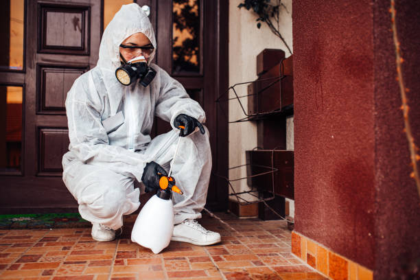 Reliable Ant Control contractor in Emporia, VA by Show Me Pest Control